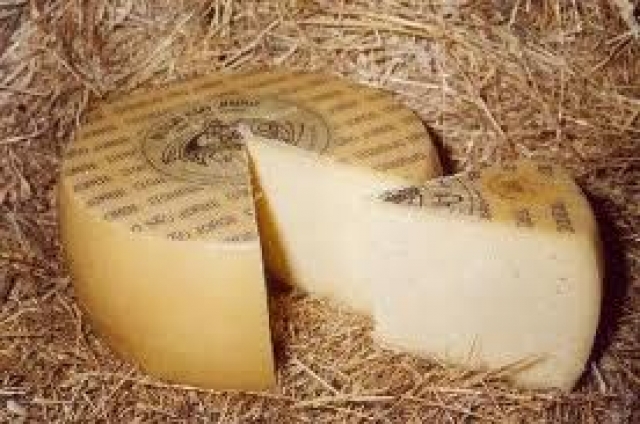 Festa do Queijo Serra da Estrela terá queijo convidado
